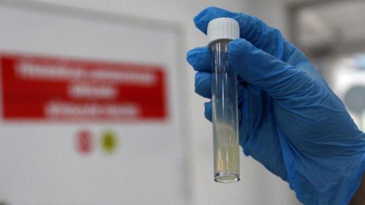 DS&Ouml; a&ccedil;ıkladı... D&uuml;nyanın en &ouml;l&uuml;mc&uuml;l bulaşıcı hastalığı oldu! 2024'te 1,23 milyon can aldı