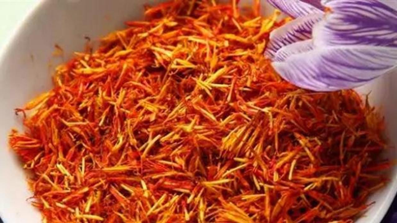 D&uuml;nyanın en pahalı baharatı! Adana'da hasat edildi Gramı tam 600 TL