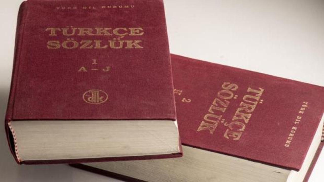 Ermenistan'da T&uuml;rk&ccedil;e&rsquo;ye artan ilgi! Se&ccedil;meli ders olarak verilmeye başlanmıştı...