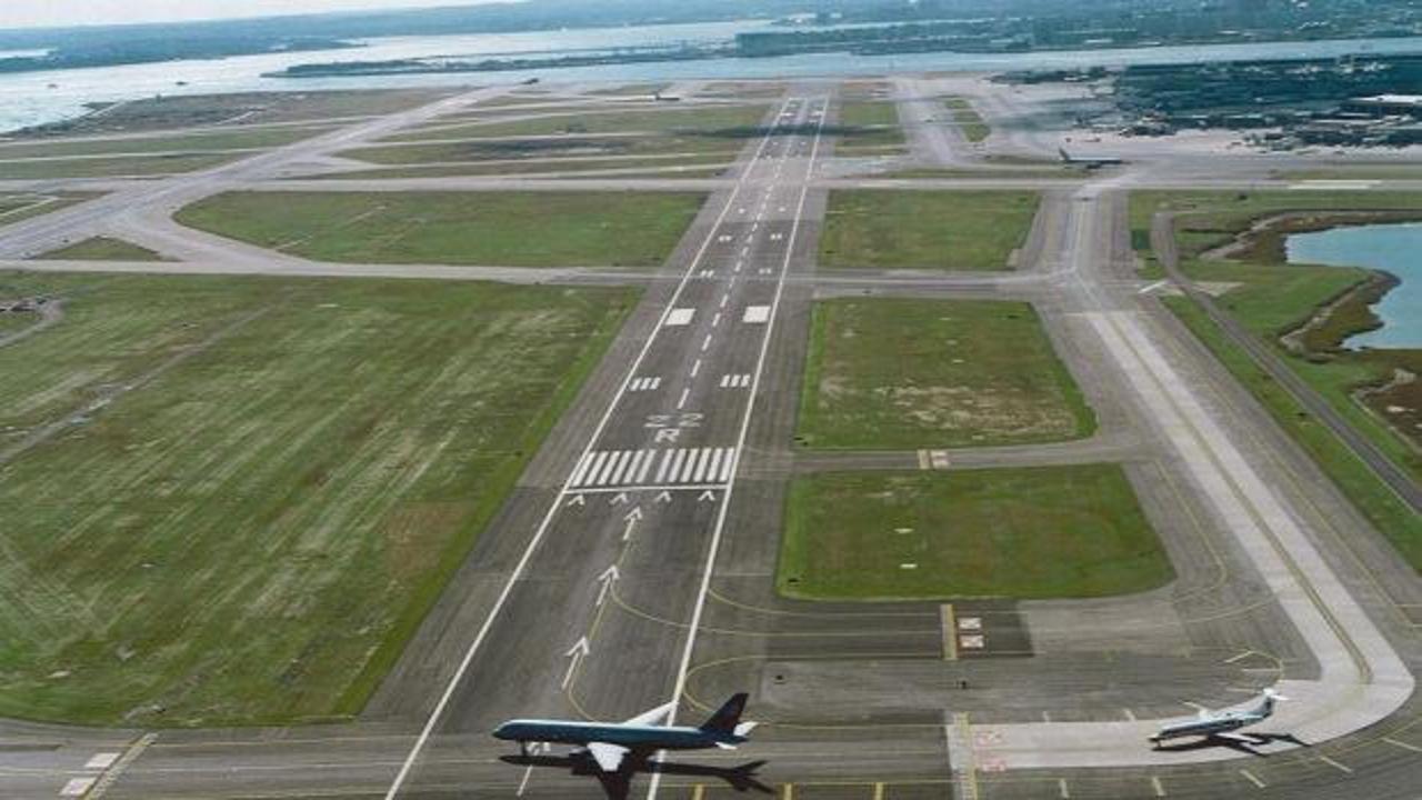 Havalimanında ayı krizi! Japonya'da uçuşlar durduruldu