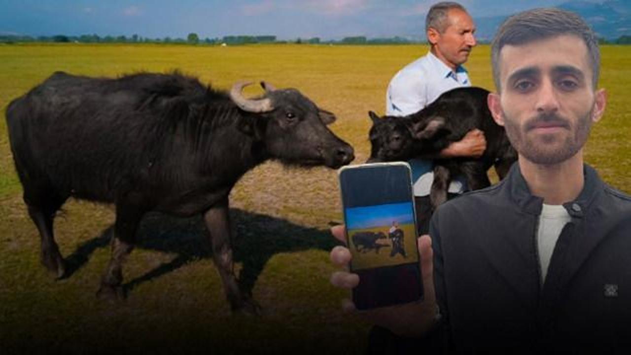 Dünya ikincisi oldu! 10 bin dolarlık ödül sevinci kursağında kaldı