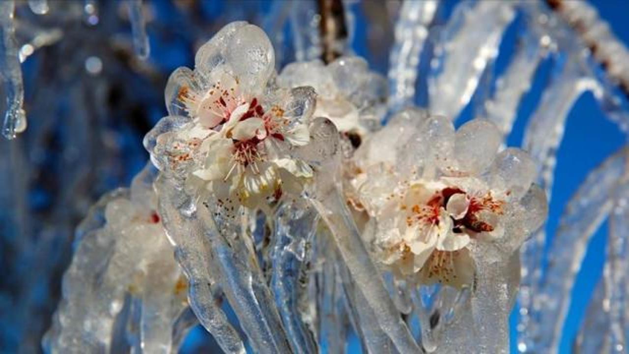 &Uuml;reticiye m&uuml;jde! Hesaplarınızı kontrol edin