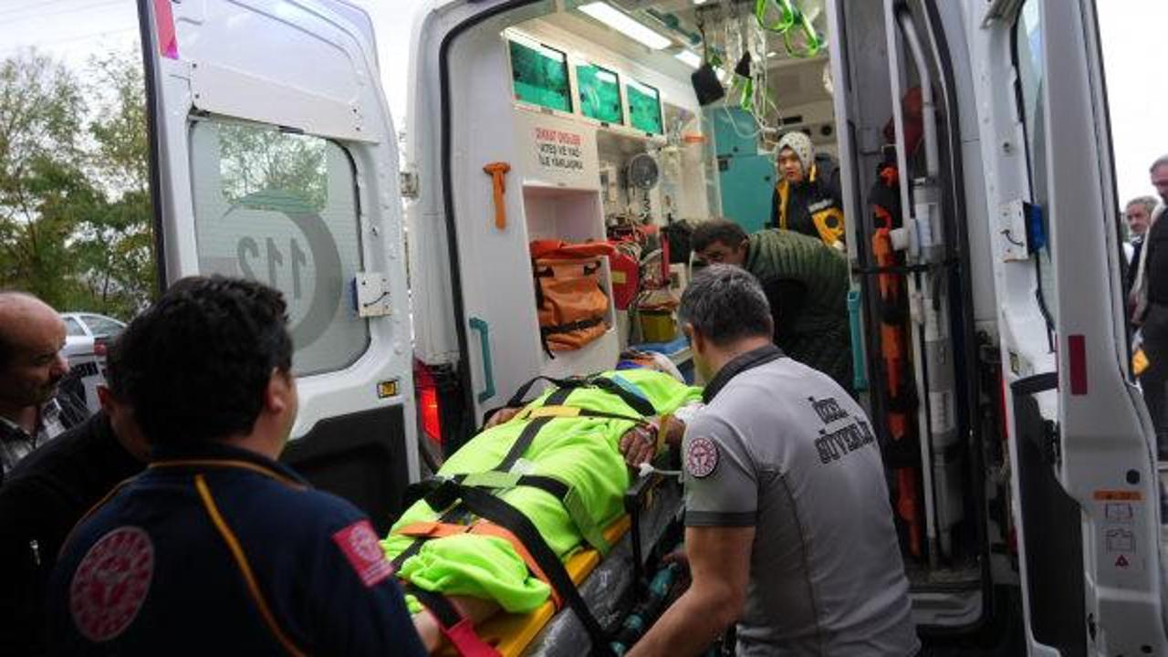 Yer: Kastamonu! İmam ayı saldırısına uğradı