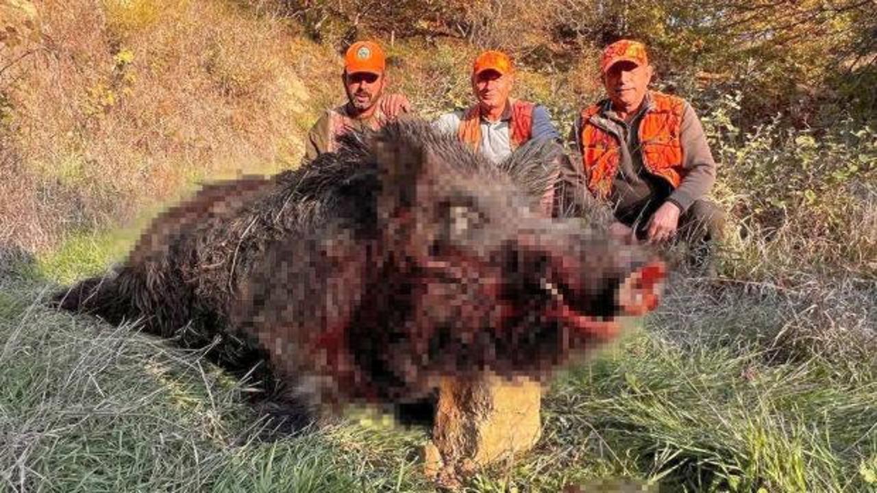 Tekirdağ'da avcıları şaşırtan av: Kilosuna inanamadılar! 