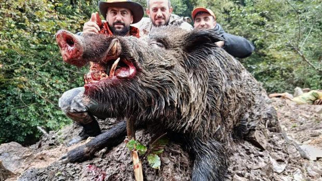 Trabzon'da avladılar! Cüsseleri korkutucu büyüklükte