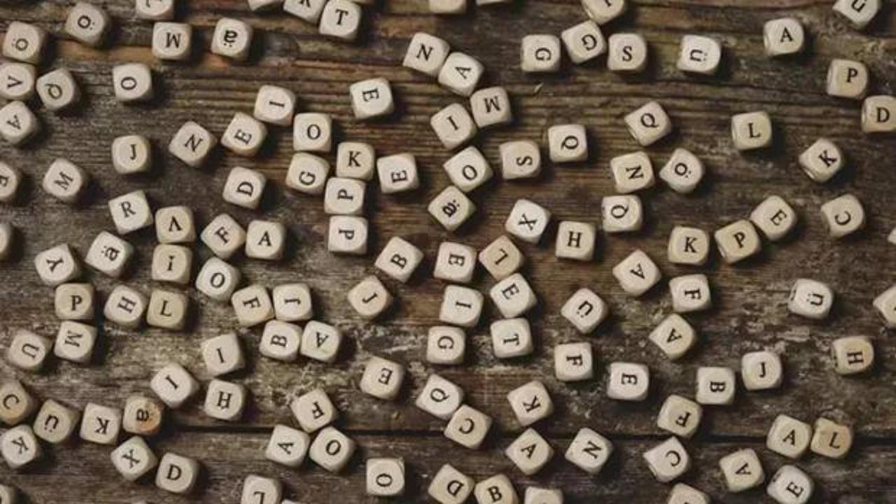 Cambridge Sözlüğü yılın kelimesini seçti