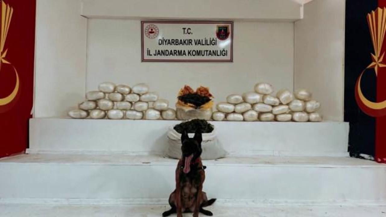 Diyarbakır'da uyuşturucu operasyonu: 25 ş&uuml;pheli yakalandı