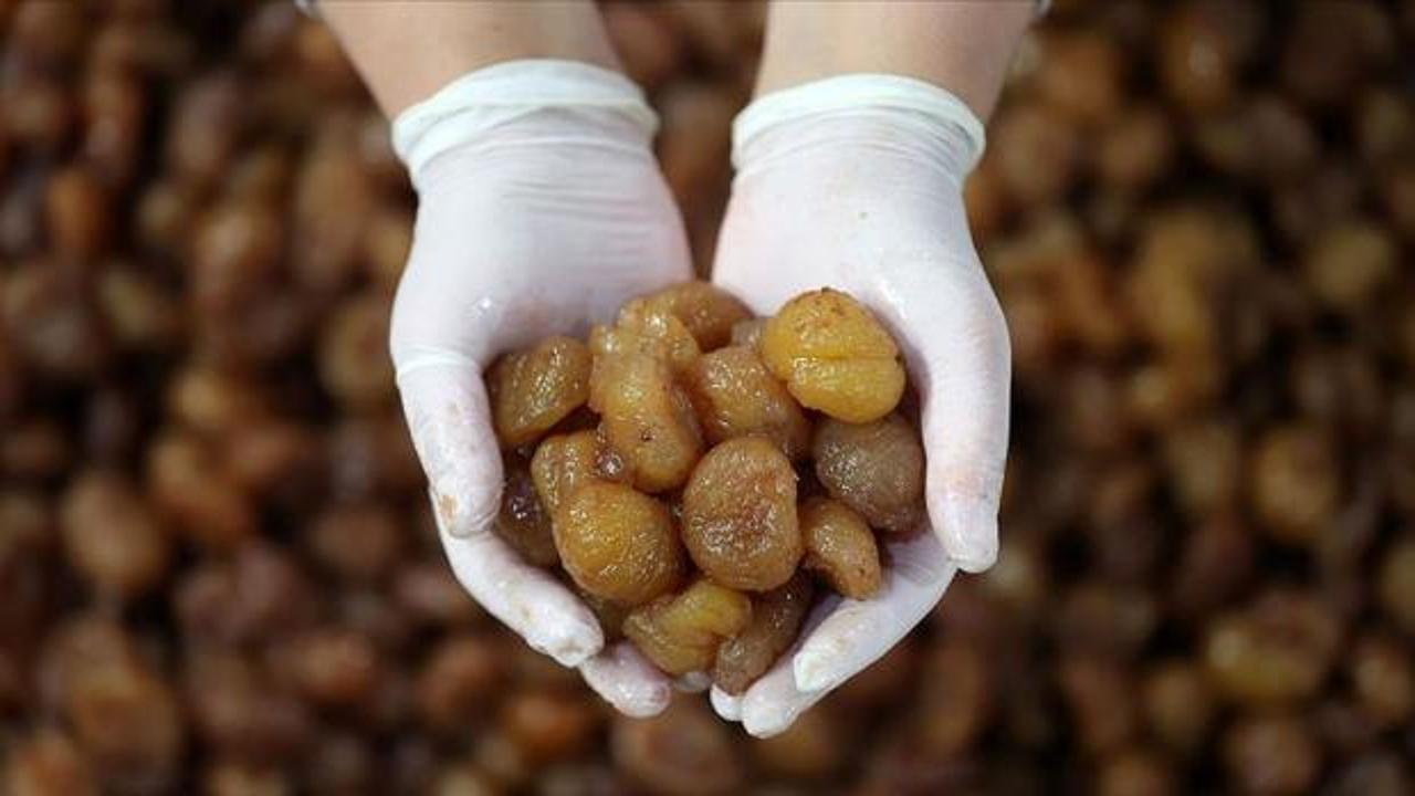 İpsala pirinci ve Bursa kestane şekeri AB tescili aldı!