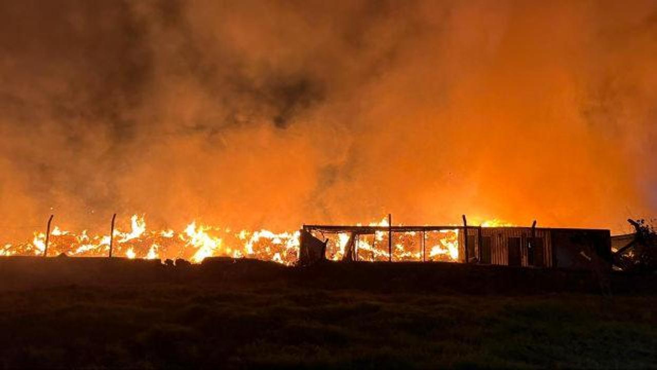 İzmir’de belediyeye ait çöp depolama alanında yangın