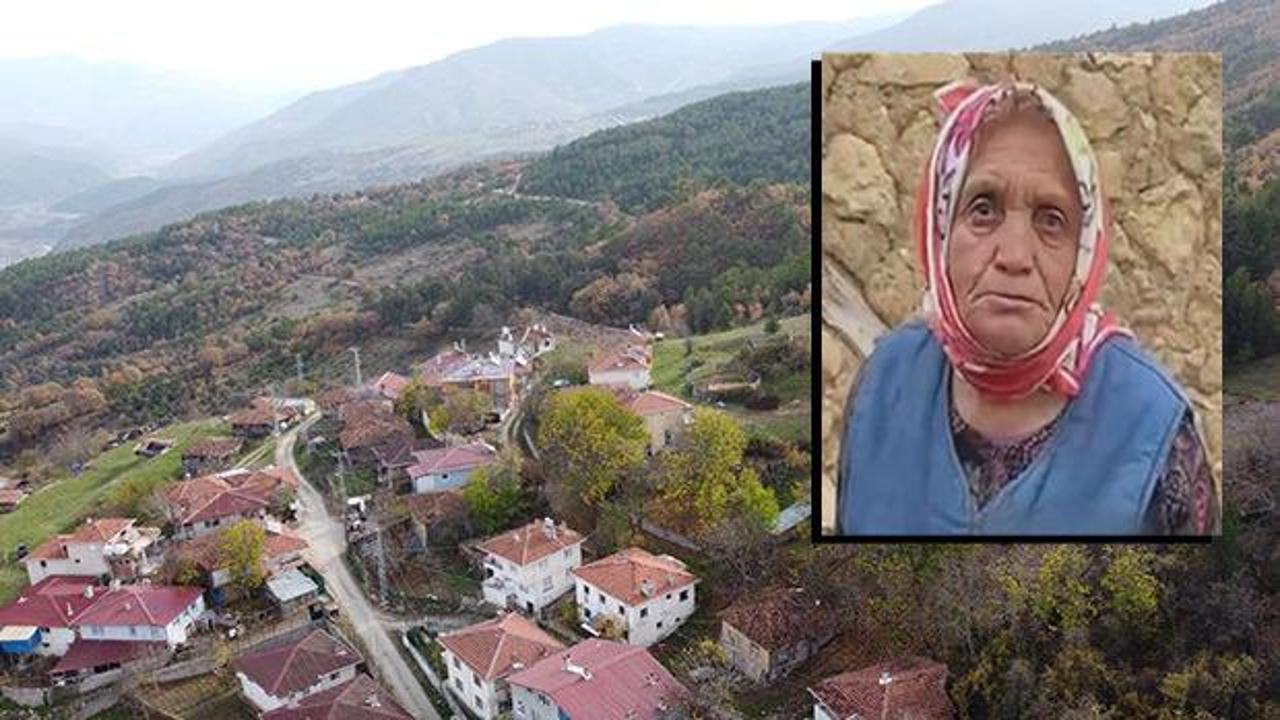 Mantar toplamaya giden yaşlı kadın ormanda ölü bulundu