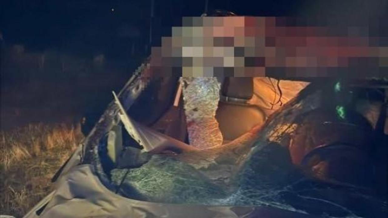 Muş&rsquo;ta hafif ticari ara&ccedil; ata &ccedil;arptı: 2 yaralı