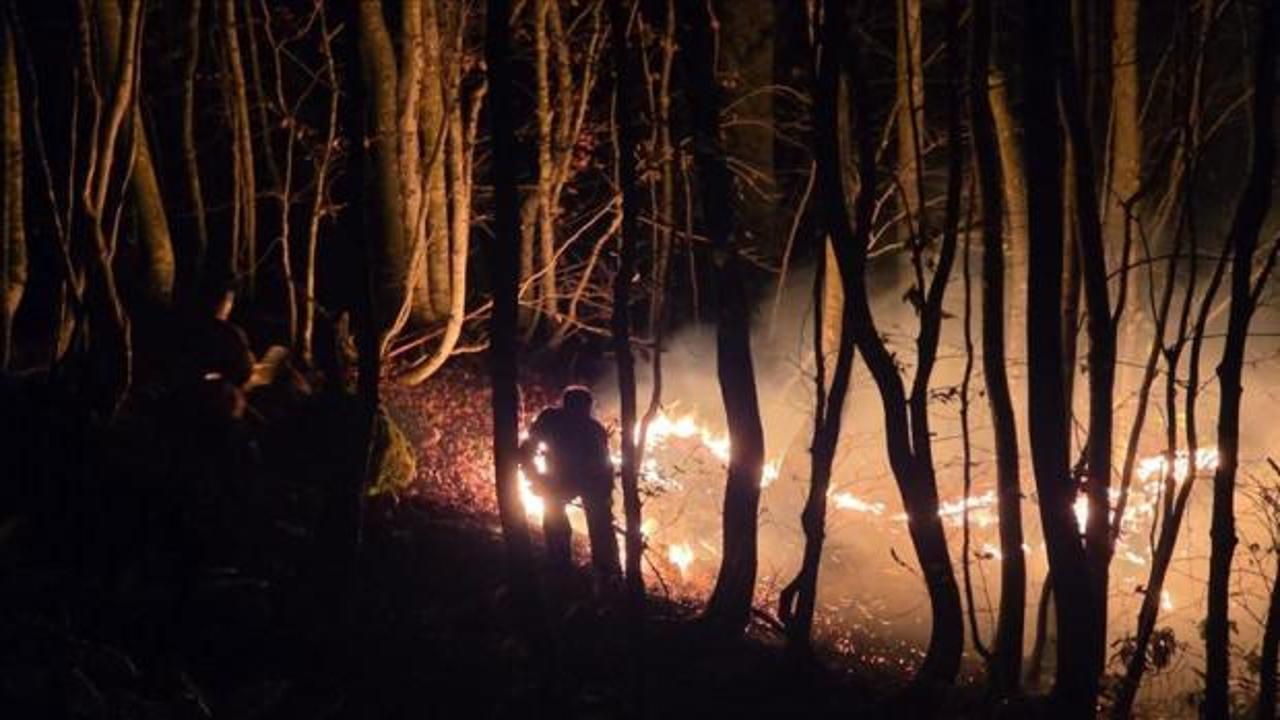 Ordu'da korkutan yangın! Ekipler müdahale ediyor