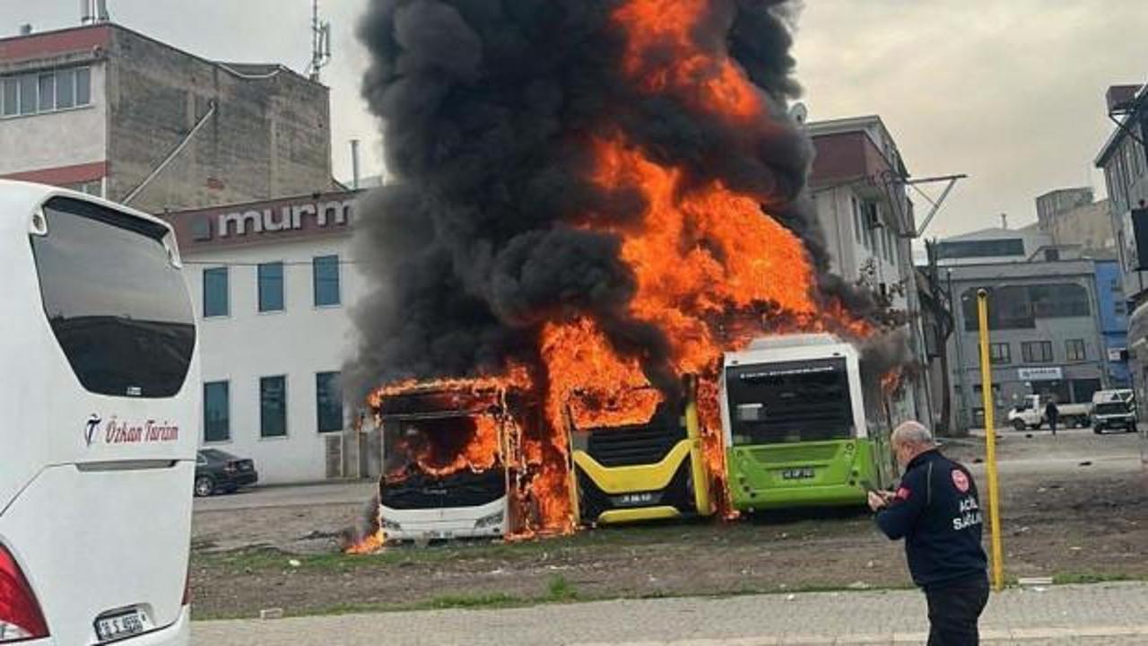 Park halindeki otobüsler cayır cayır yandı