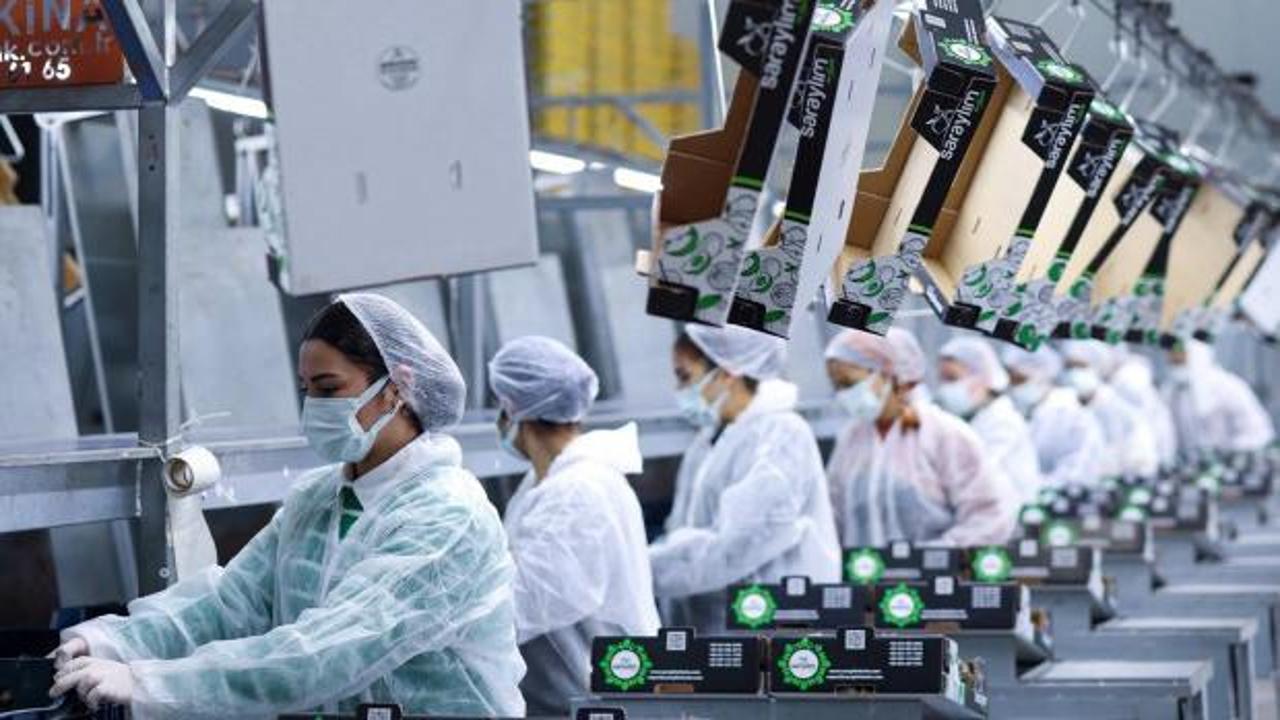 36 yıllık meyve-sebze devinden kötü haber! Konkordato ilan etti