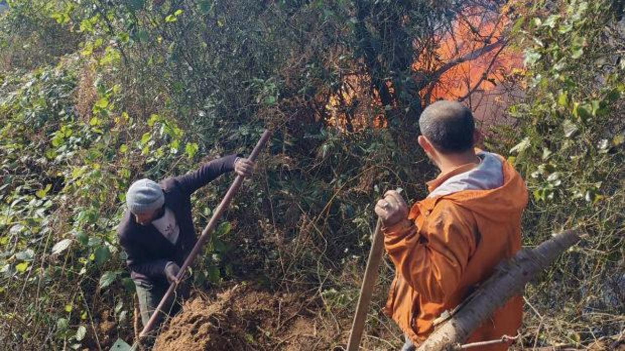 Artvin&rsquo;de &ouml;rt&uuml; yangını ormana yayıldı