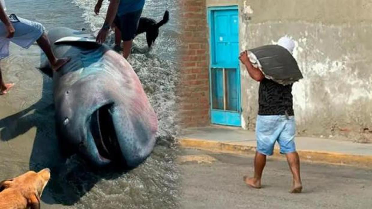 Bilim dünyası için servet değerindeydi! Endemik balık üç dakikada fileto oldu!