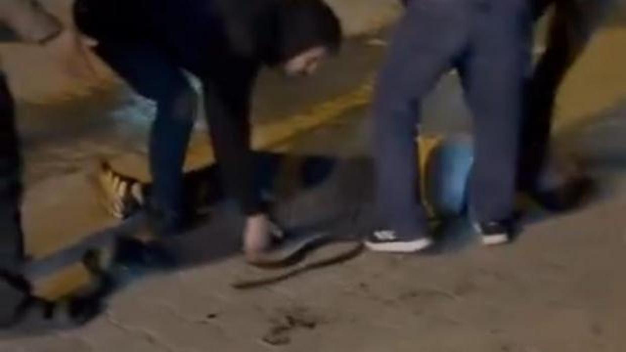 Şanlıurfa'da bıçaklı kavga: 3 yaralı