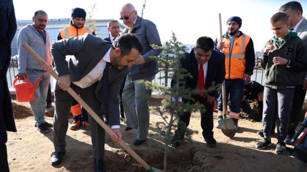 Konya'da anlamlı etkinlik: Özel öğrenciler fidan dikti