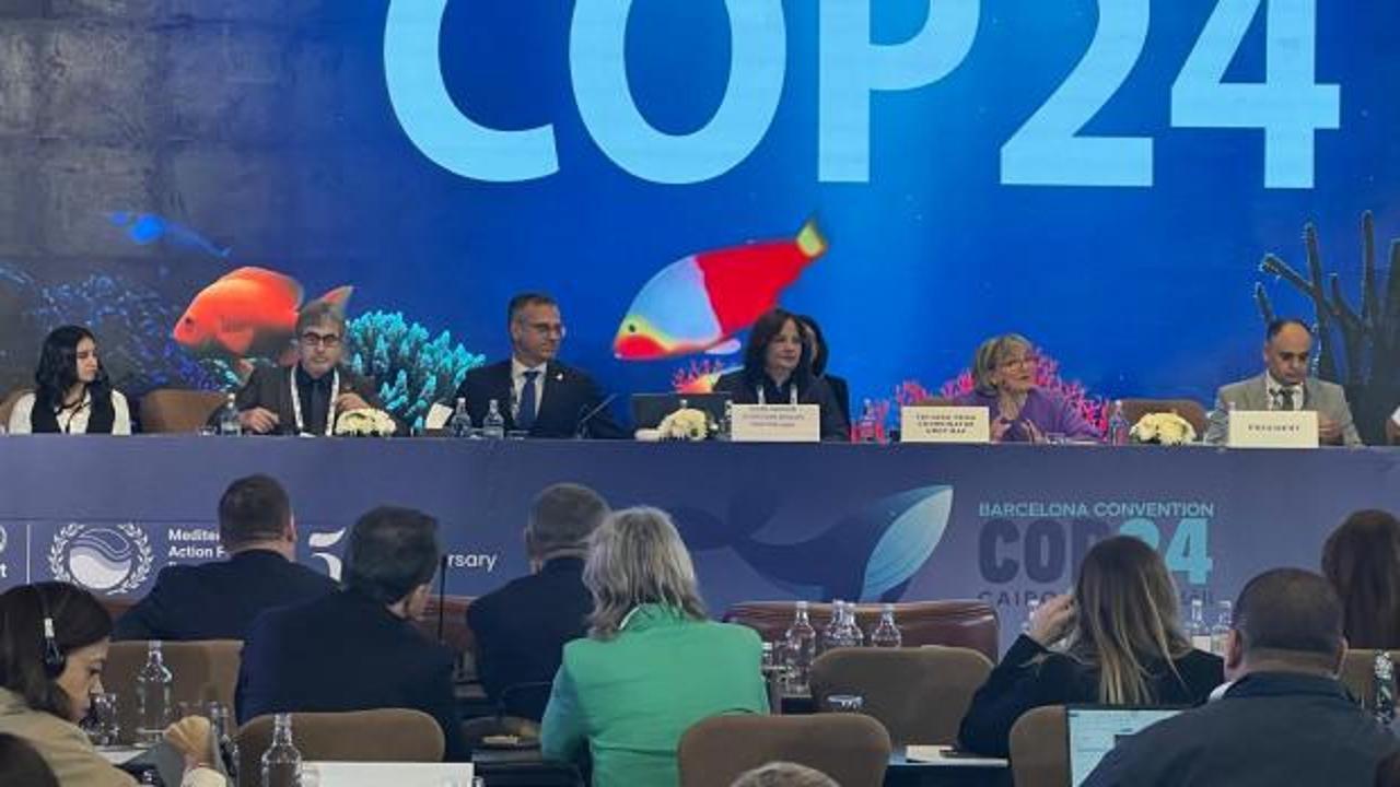 Akdeniz Bölgesel İklim Değişikliği Merkezi 2026'da İstanbul'da faaliyete geçecek