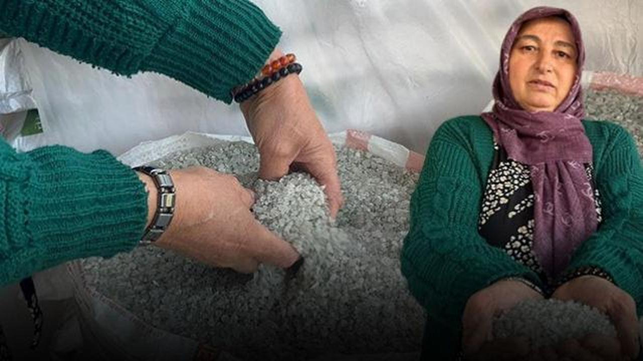 Çankırı'da 14 torun sahibi kadının lokma lokma helal kazanç hikâyesi