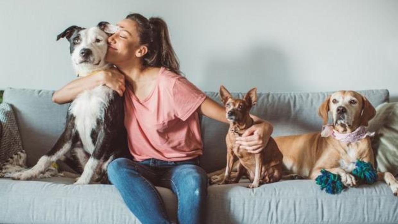 Dayanaklı ve şık: Evcil hayvanlı evde doğru koltuk se&ccedil;imi