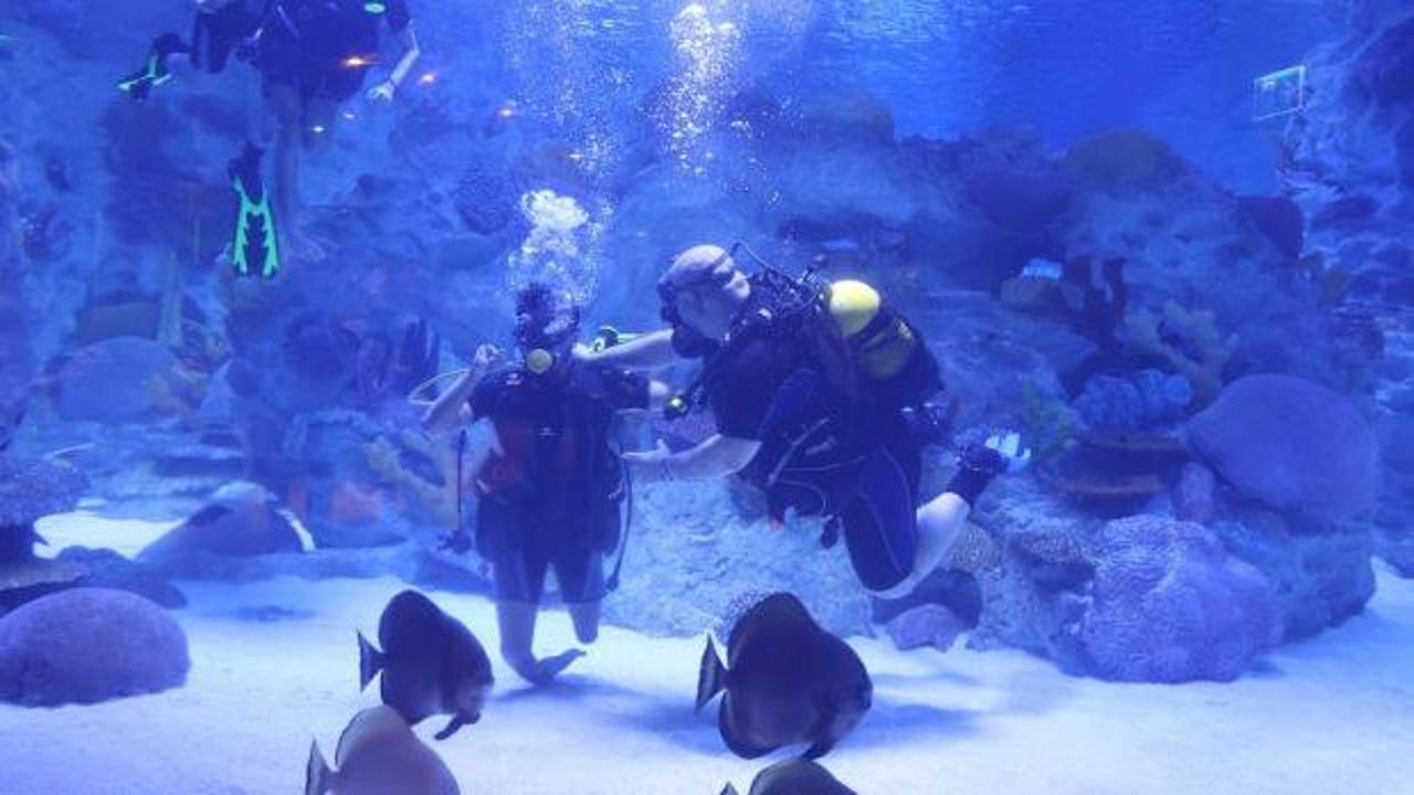 Engelliler, su altı dalışı yaparak yeteneklerini sergiledi