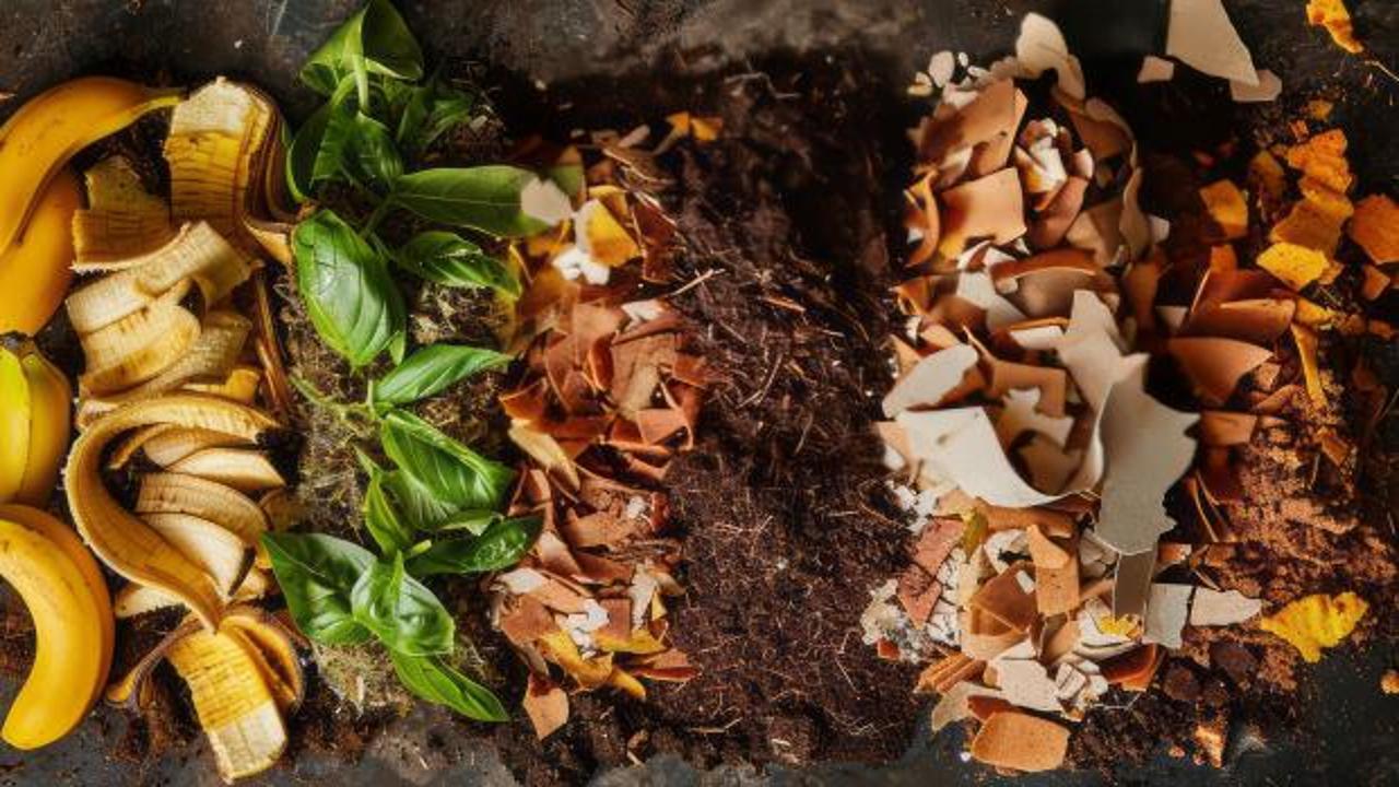 Mutfak Atıklarından Altın Değerinde G&uuml;bre: Ev Kompostu Hazırlama
