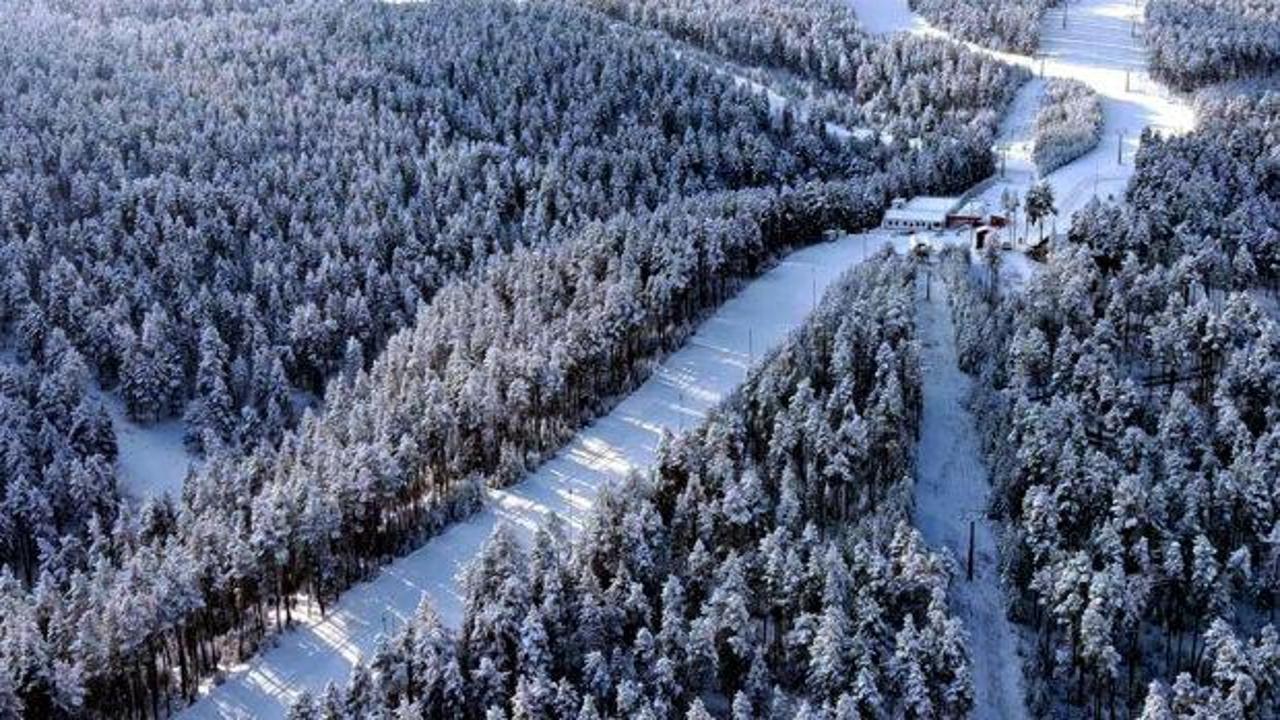 Sarıçam ormanlarında beyaz rüya: Kars'ta karla kaplanan ormanlar dronla görüntülendi