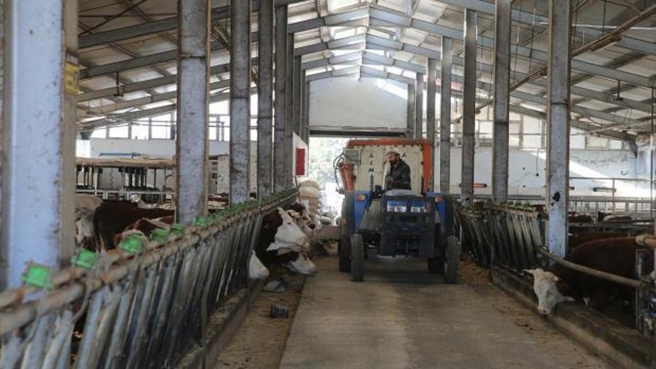 Devletten aldığı 1 milyon liralık hibeyle dev bir çiftliğin sahibi oldu