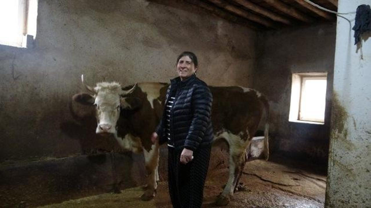 Hem besici hem muhtar! 8 erkek adayı geride bıraktı