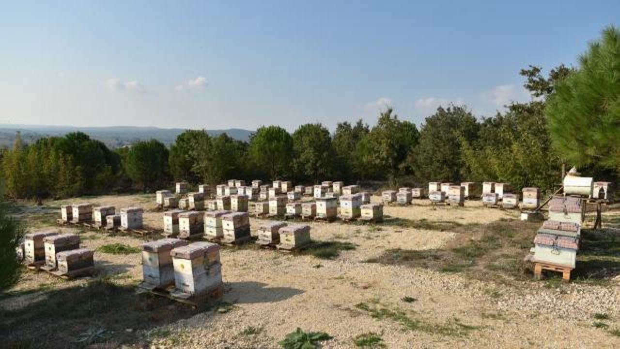 Dolandırıcıların yeni gözdesi! Kilosu 20 bin lira: Yüzde 90'ı sahte!