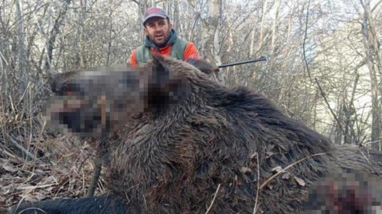 Elazığ'da sürü halinde avladılar! Cüsseleri korkutucu büyüklükte