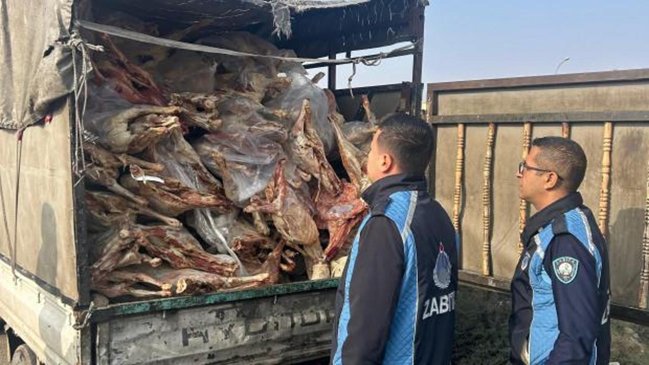 Gaziantep'te 1 ton 900 kilogram bozulmuş et ele geçirildi