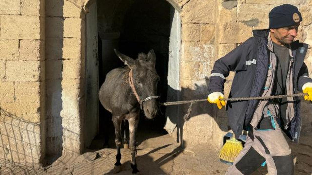 Mardin'in "kadrolu eşeklerinden" haber var: Emekliliklerinin önü açılıyor