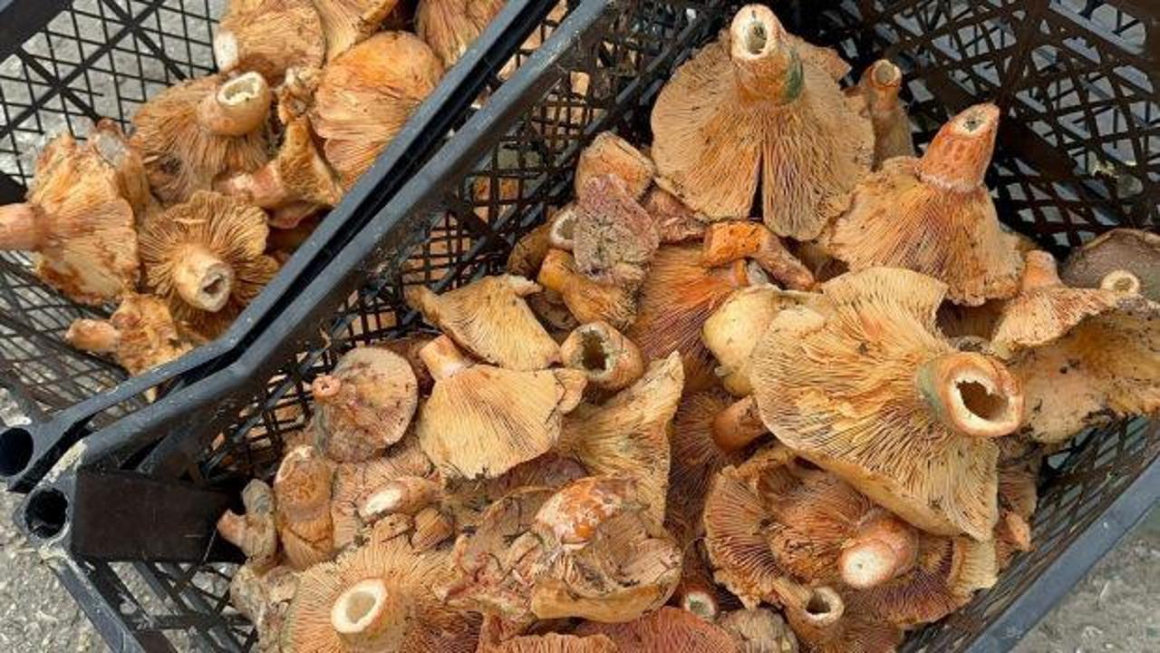 Sevenleri bayram etti! Fiyatı 300 liradan 100 liraya geriledi