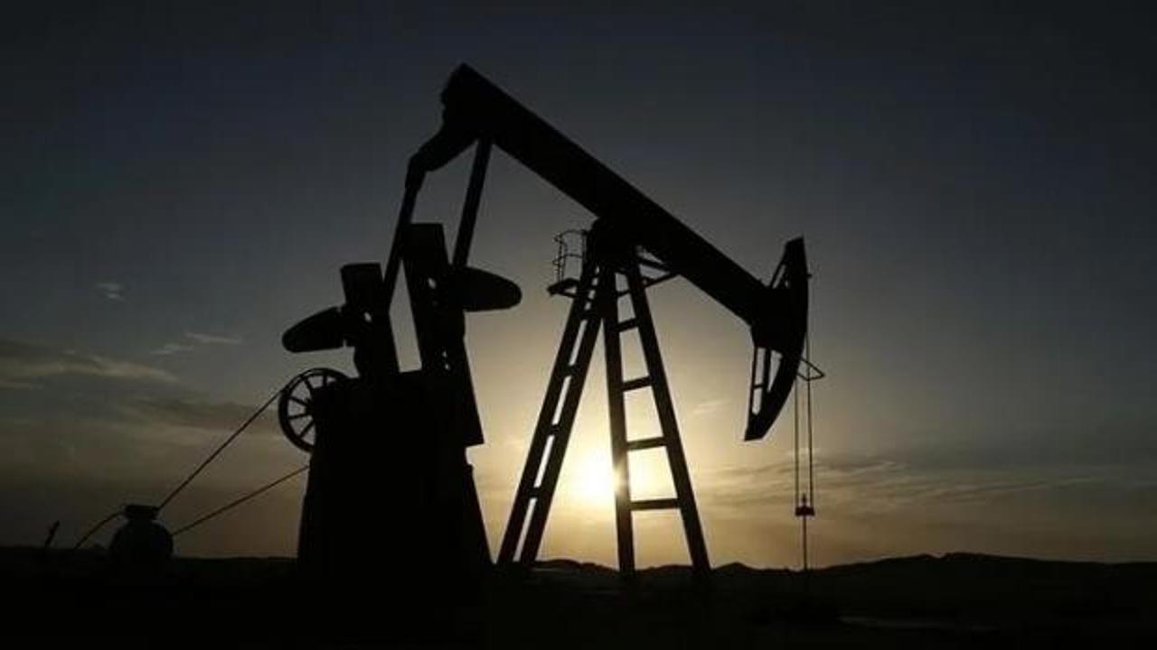 TPAO'nun4 petrol arama ruhsatına süre uzatımı