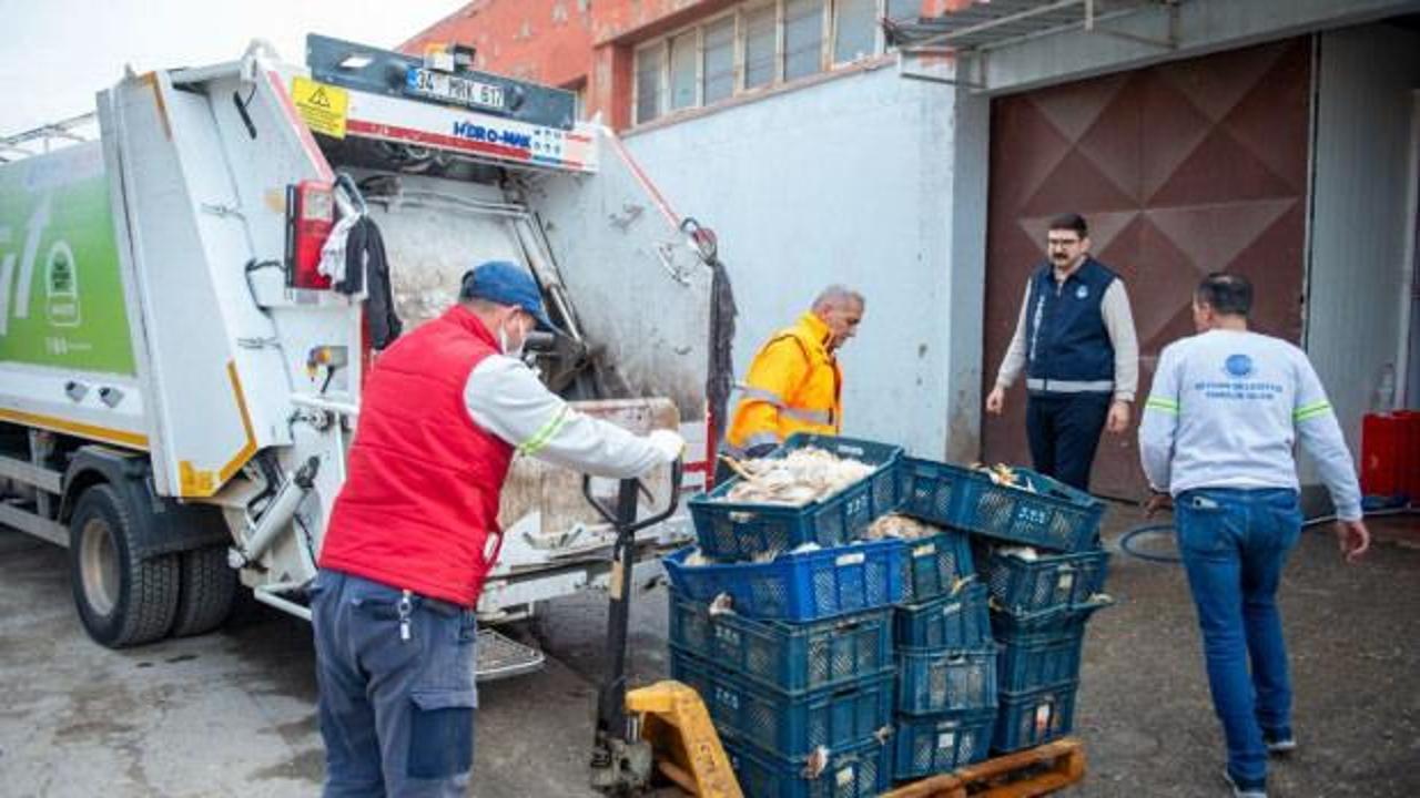Tüm mahalleyi kötü koku sarmıştı: Nedeni 25 kasa tavuk çıktı!