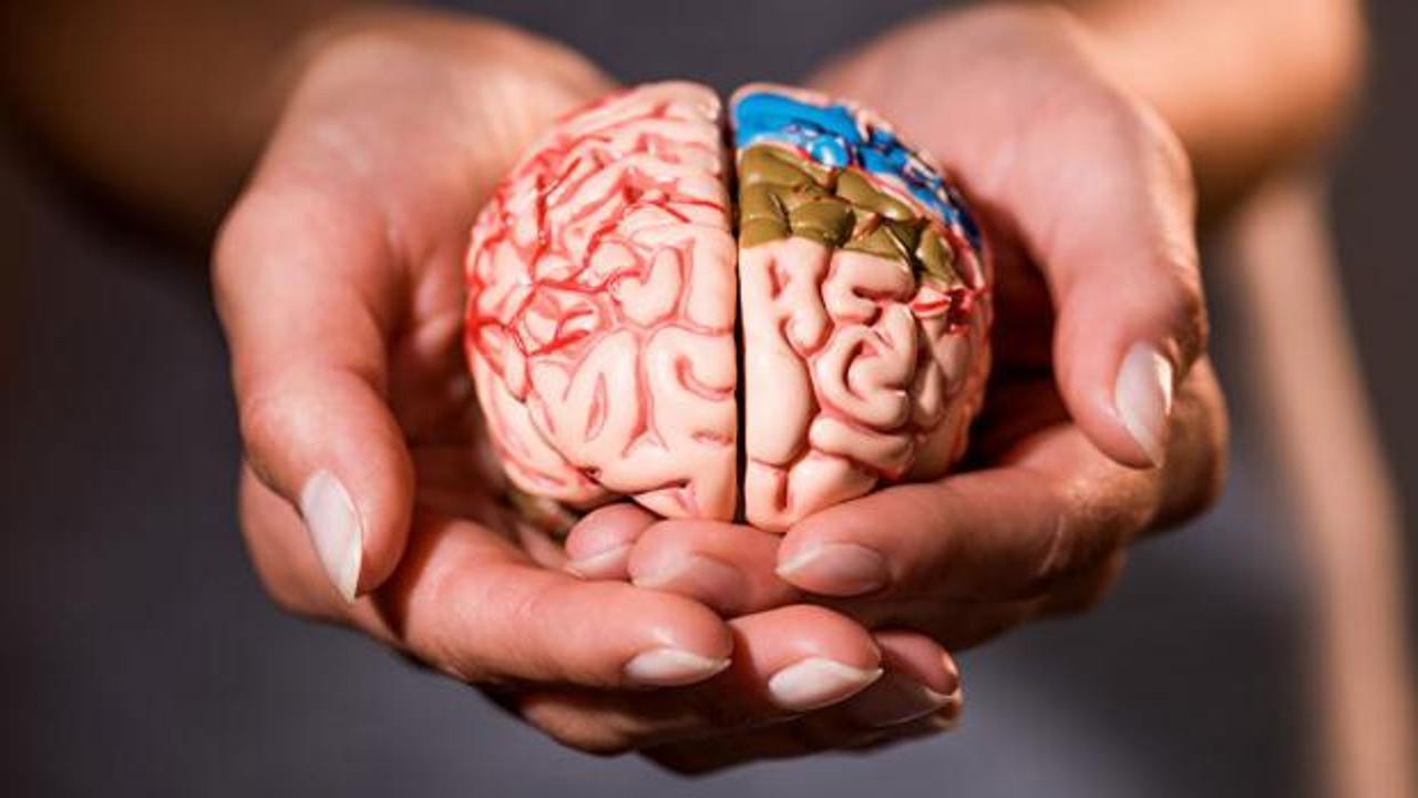 Beyninizi 8 sene birden gen&ccedil;leştiriyor! Şartlara sahip olan yaşadı