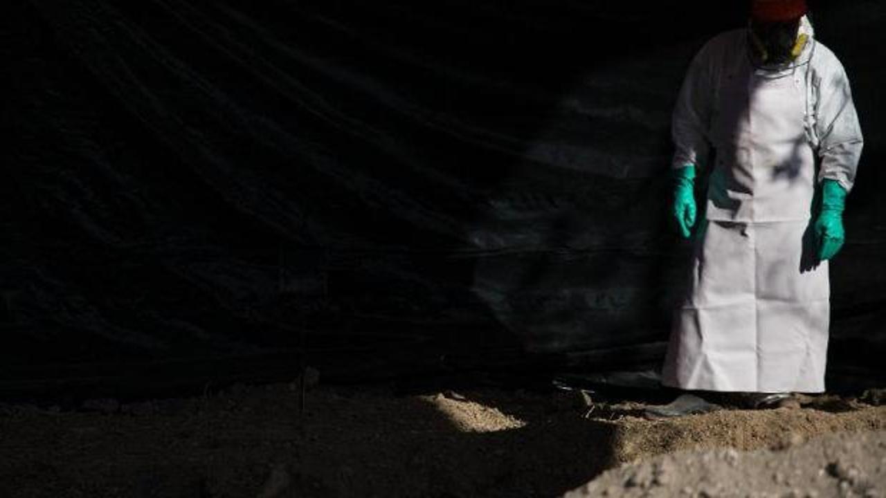 Harvard'da akıl almaz rezalet! Kadavraları par&ccedil;a par&ccedil;a edip 's&uuml;s eşyası' gibi sattılar!