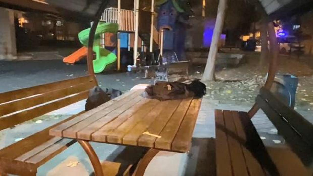 Liselilerin kavgası kanlı bitti! Bir &ouml;ğrenci yaralı