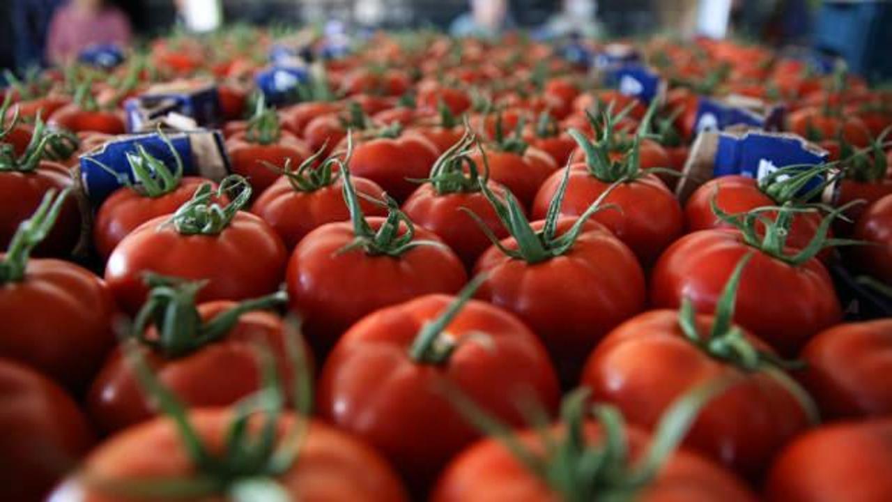 MHP'li Durgun a&ccedil;ıkladı: İhracatta pestisit verileri kamuoyuyla paylaşıldı