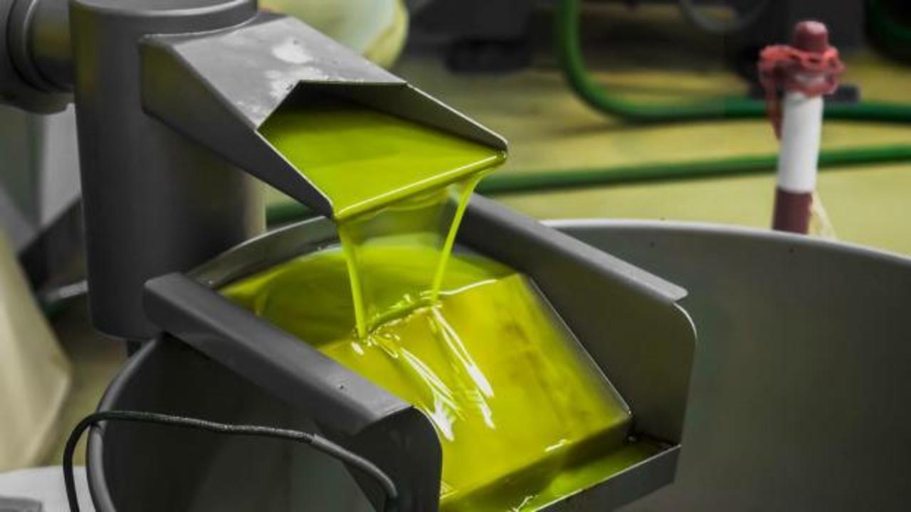 Tariş'ten zeytinyağına y&uuml;zde 35 zam kararı