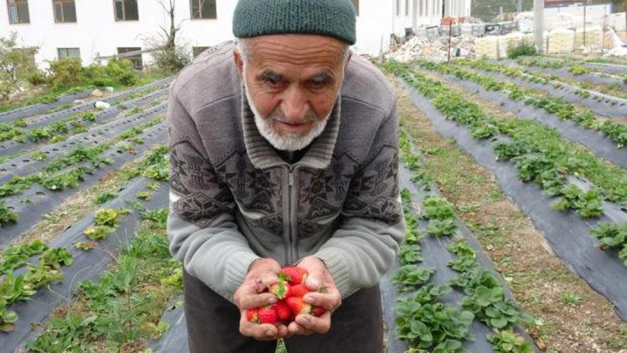 T&uuml;rkiye onu konuşmuştu! 'İbrahim Dede'den acı haber