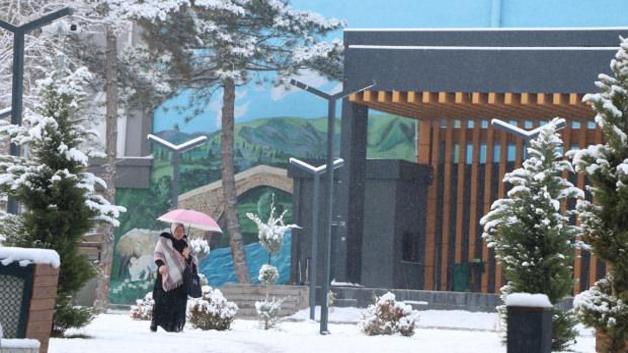 Van'da 90 yerleşim yeri ulaşıma kapanırken 2 il&ccedil;ede okullar tatil edildi