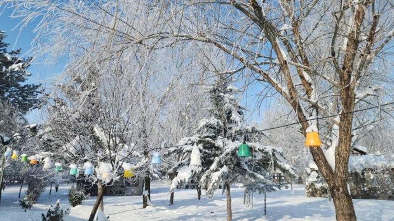 Elazığ'da termometreler eksi 22'yi g&ouml;sterdi