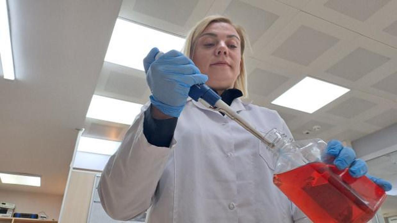 Sakarya'da geliştirilen bor tabanlı kanser tedavisi projesi y&uuml;zde 80 başarı sağladı