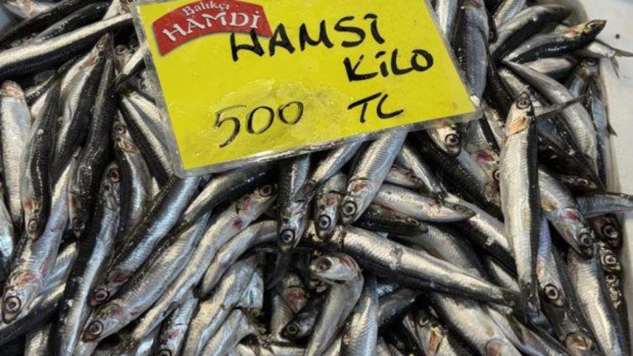 Balıkta yokluk senesi! Kilosu 250 TL’den başlıyor
