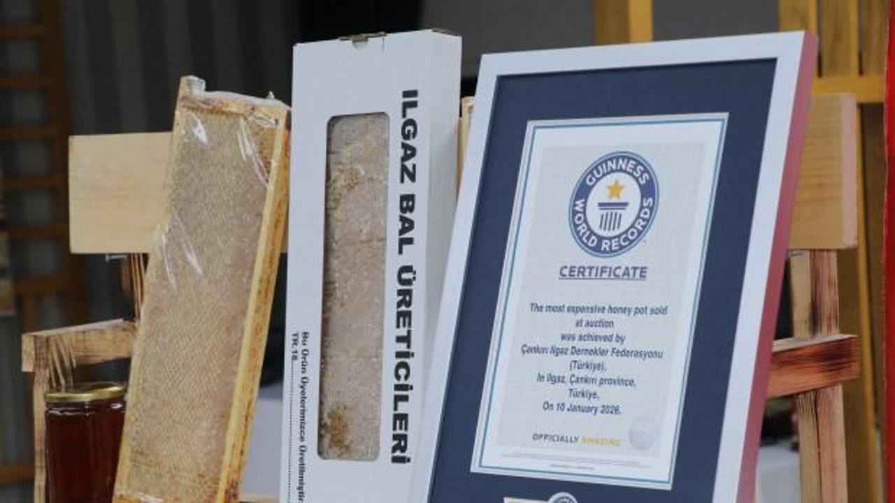 &Ccedil;ankırı'da 1 kilo bal 11 bin 118 avroya satıldı
