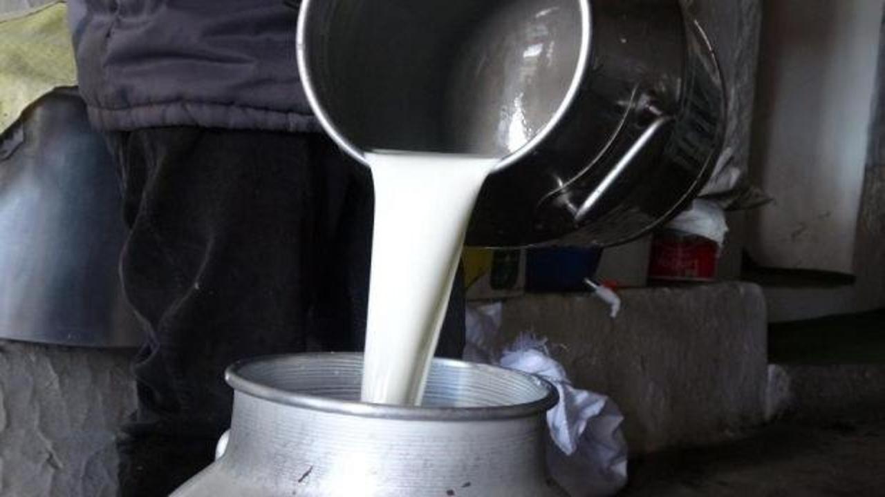 Çiğ süt fiyatları belli oldu!