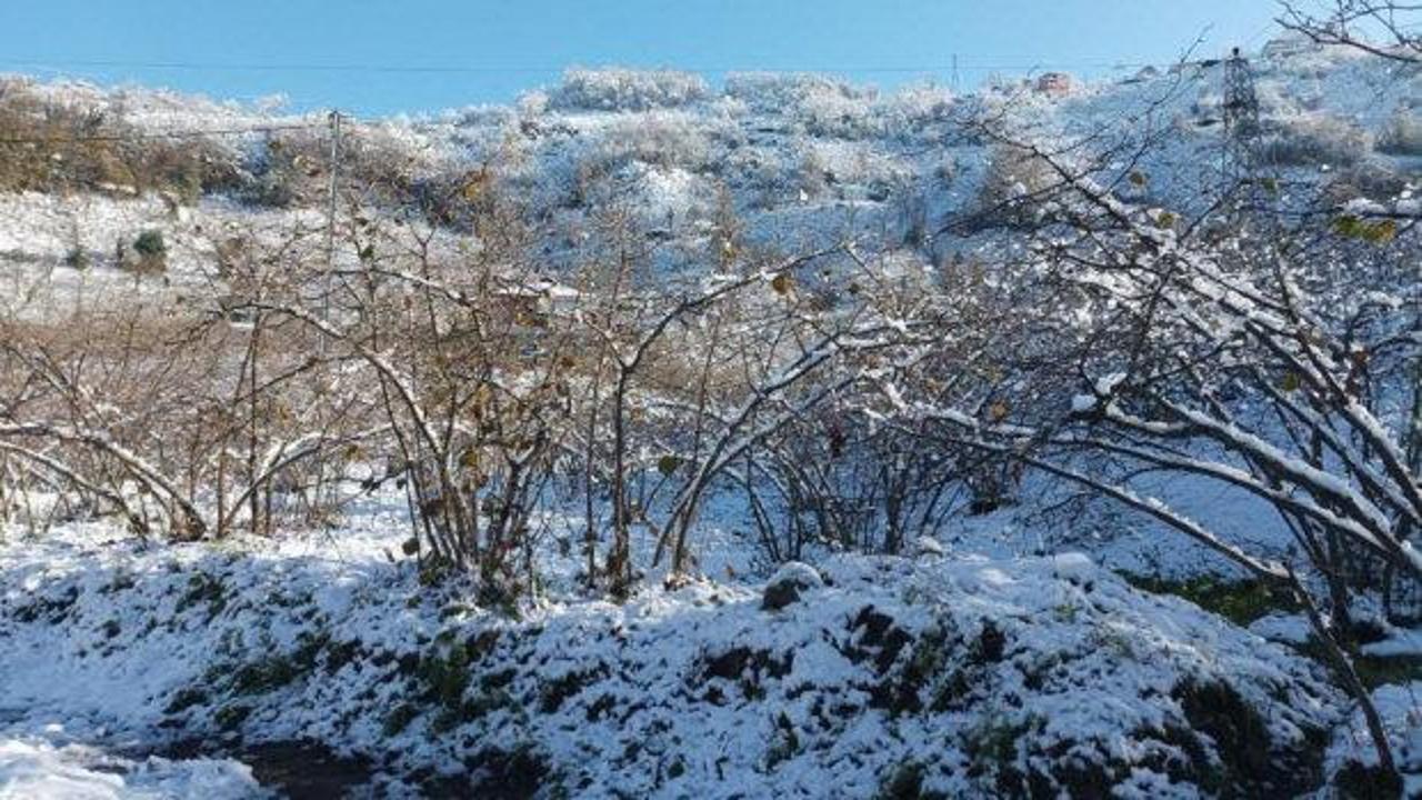 Fındık üreticilerinin kar sevinci